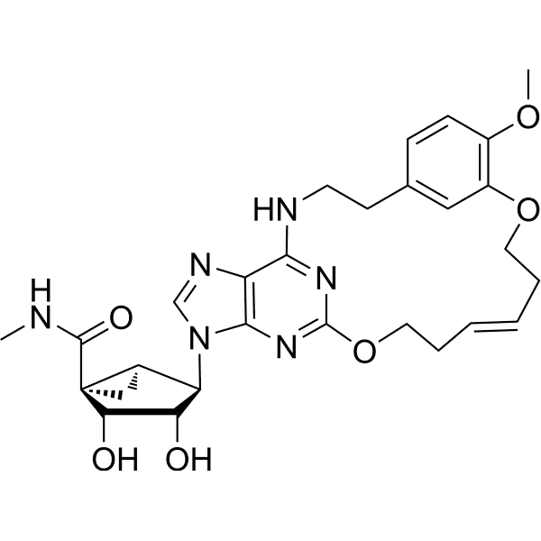 A3AR agonist 1 Structure