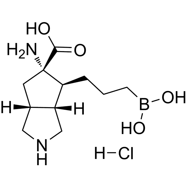 ARG1-IN-1 hydrochloride Structure