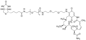 Geldanamycin-Biotin Structure