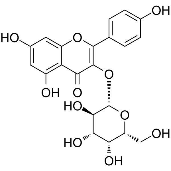 Kaempferol 3-O-β-D-galactopyranoside Structure