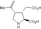Kainic acid Structure