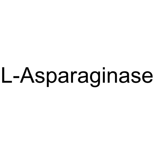 L-Asparaginase Structure