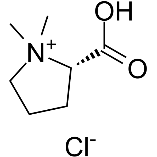 Stachydrine hydrochloride Structure