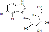 X-Gal Structure