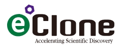 eClone Corp.
