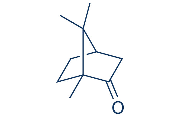 (+)-Camphor Structure