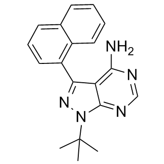 1-Naphthyl PP1 Structure