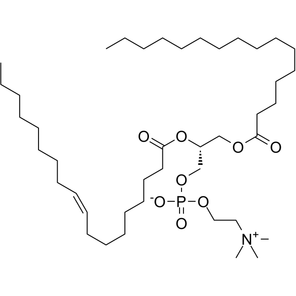 1-Palmitoyl-2-oleoyl-sn-glycero-3-PC Structure