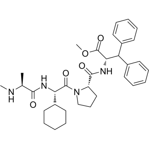 MV1  Structure