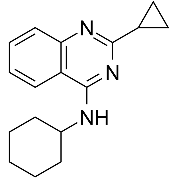 TH10785  Structure