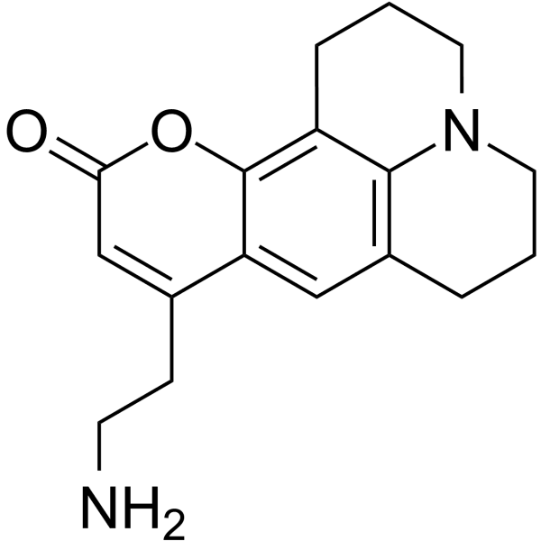 FFN511  Structure
