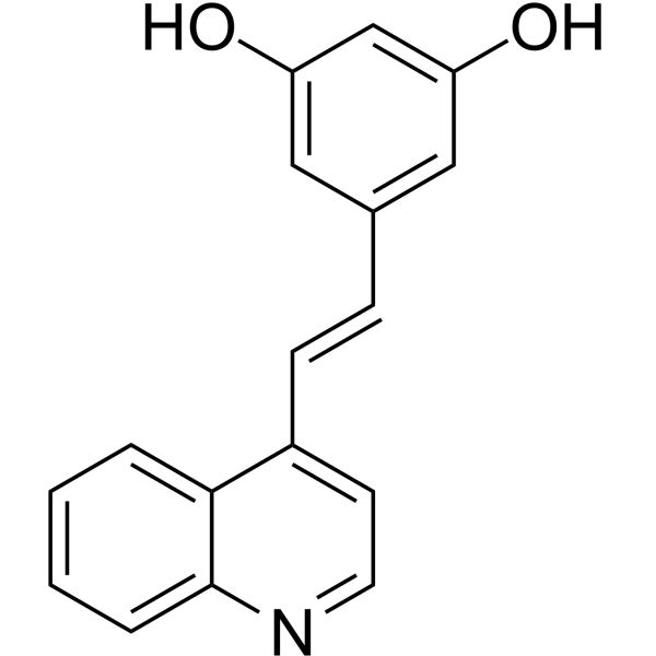 RV01 Structure