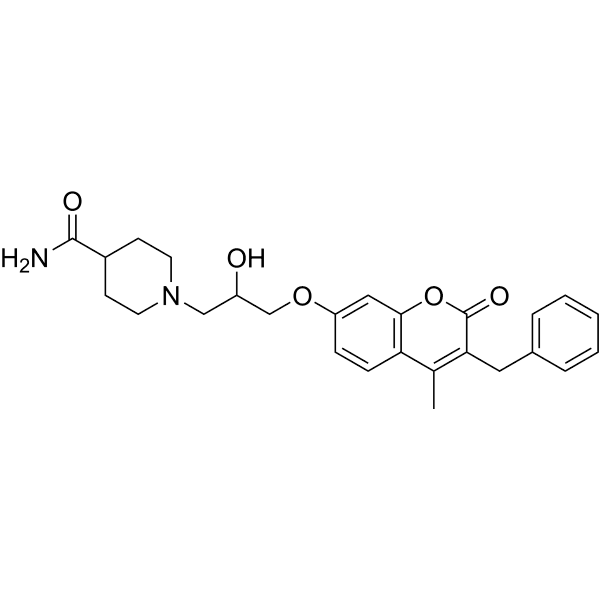 CP19 Structure