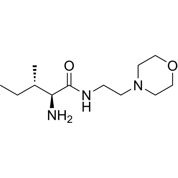 LM11A-31 Structure