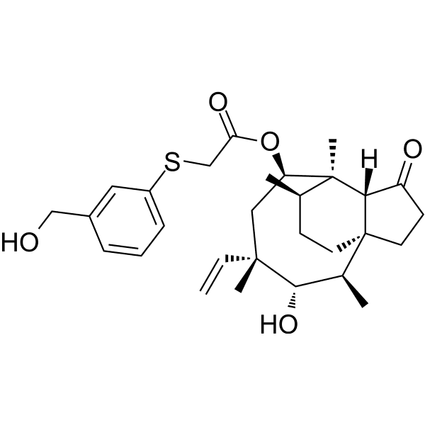 BC-7013  Structure