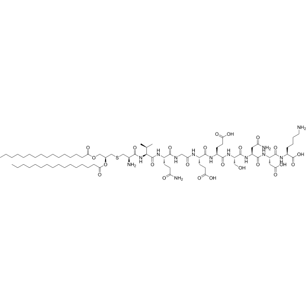 CBLB 612 Structure