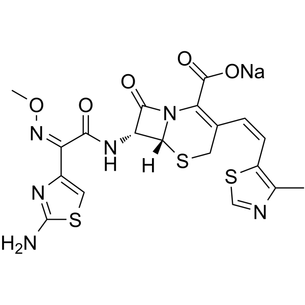 Cefditoren sodium Structure