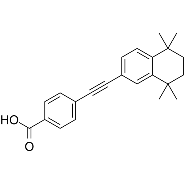 EC23 Structure