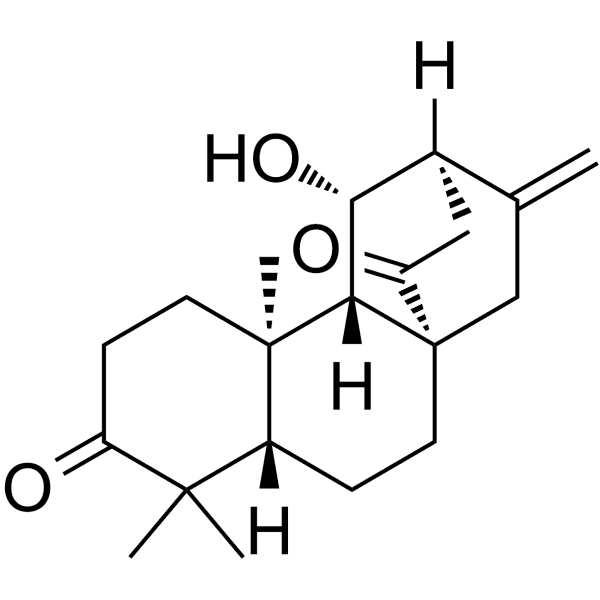 ent-11β-Hydroxyatis-16-ene-3,14-dione Structure