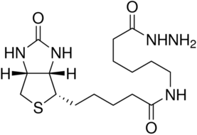 (+)-Biotinamidohexanoic acid hydrazide Structure