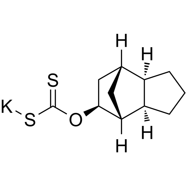 SPK-601 Structure