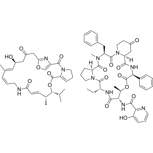 Virginiamycin Complex Structure