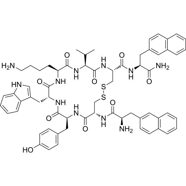 BIM 23042 Structure