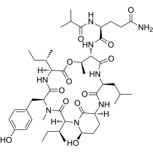 KLK7/ELA2-IN-1 Structure