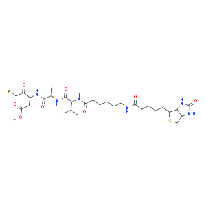 Biotin-VAD-FMK  Structure
