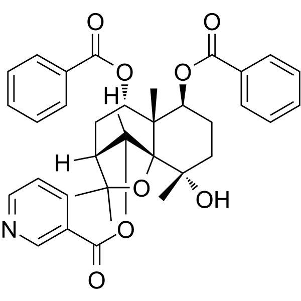 Regelidine Structure