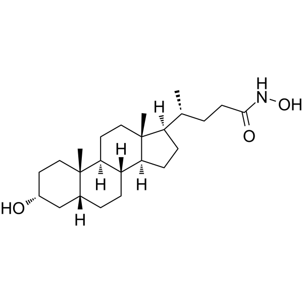 LCAHA Structure