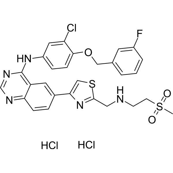 GW583340 dihydrochloride Structure