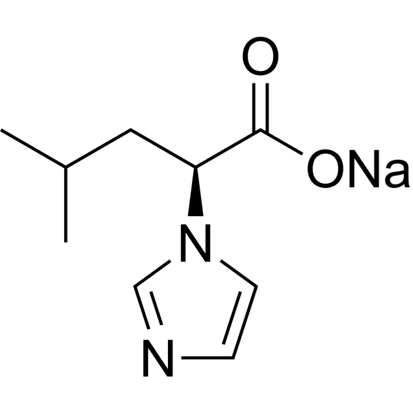 IZS-L Structure