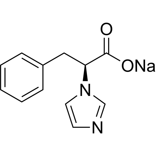 IZS-P Structure