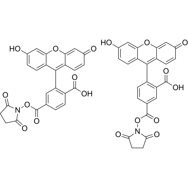 5(6)-FAM SE Structure