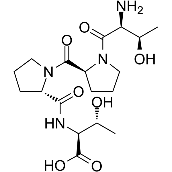 NT 13 Structure