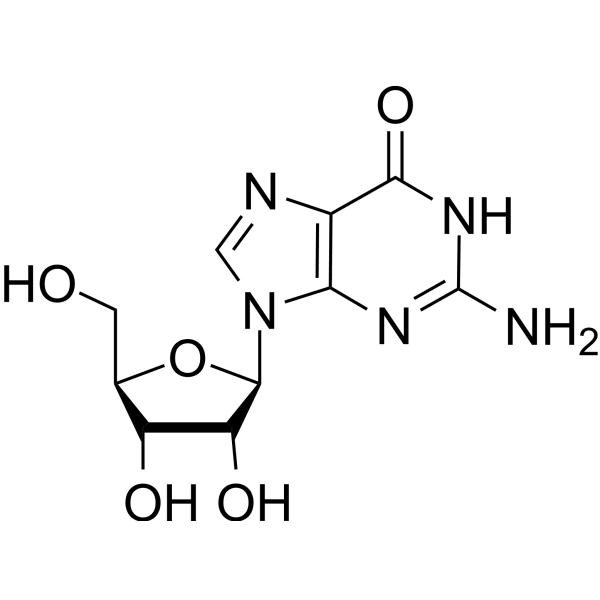 Guanosine Structure