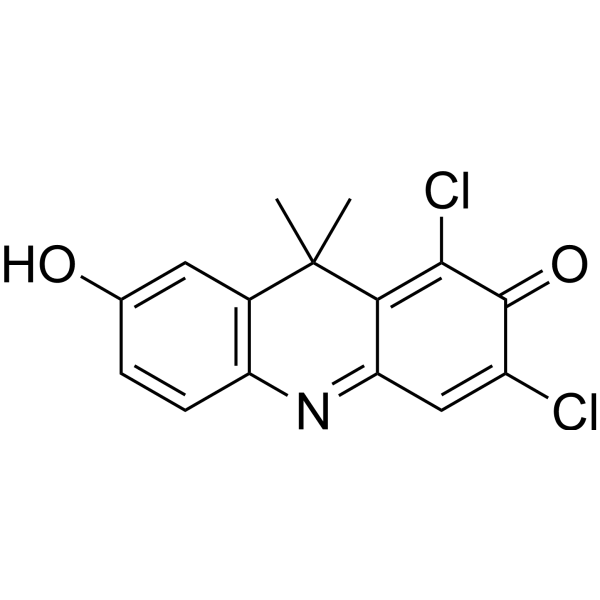 DDAO  Structure