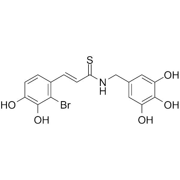 NT219  Structure