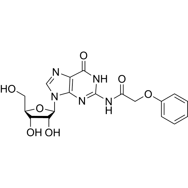 N2-Phenoxyacetylguanosine Structure