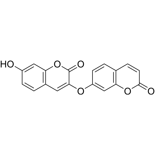 Edgeworin Structure