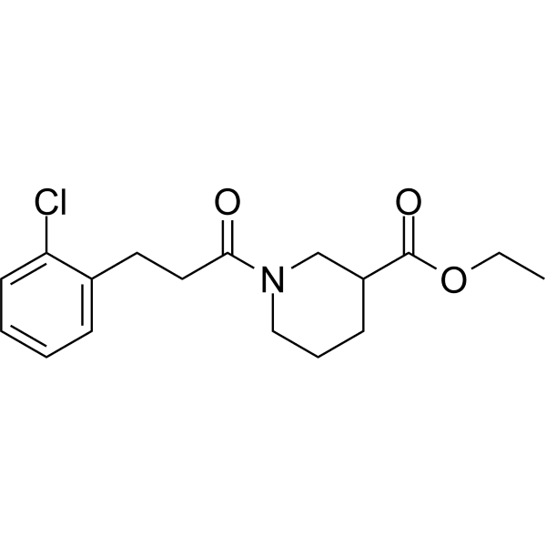 INF 195  Structure