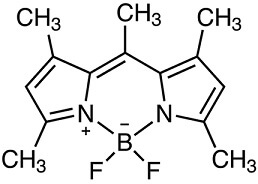 BODIPY 493/503 Structure