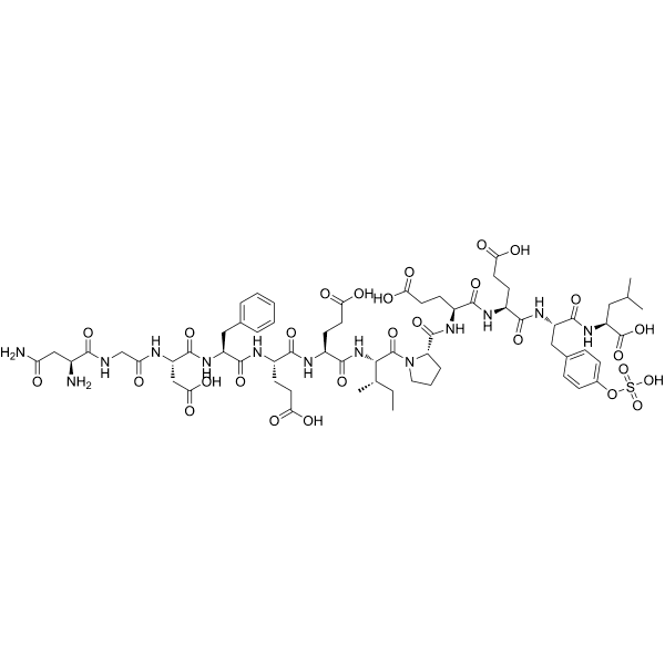 Hirugen Structure