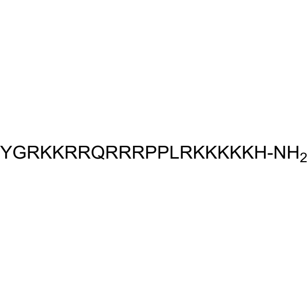 DT-2 Structure