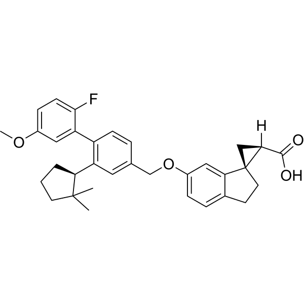 AM-5262 Structure