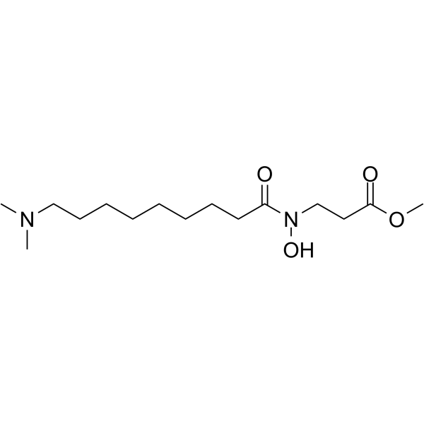 NCDM-32B  Structure