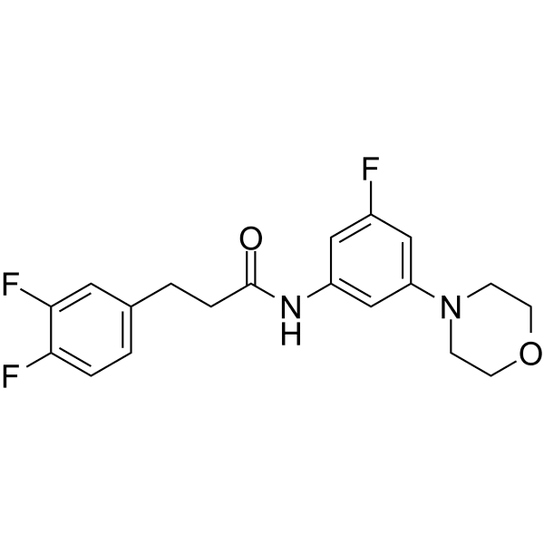 SAE-14 Structure