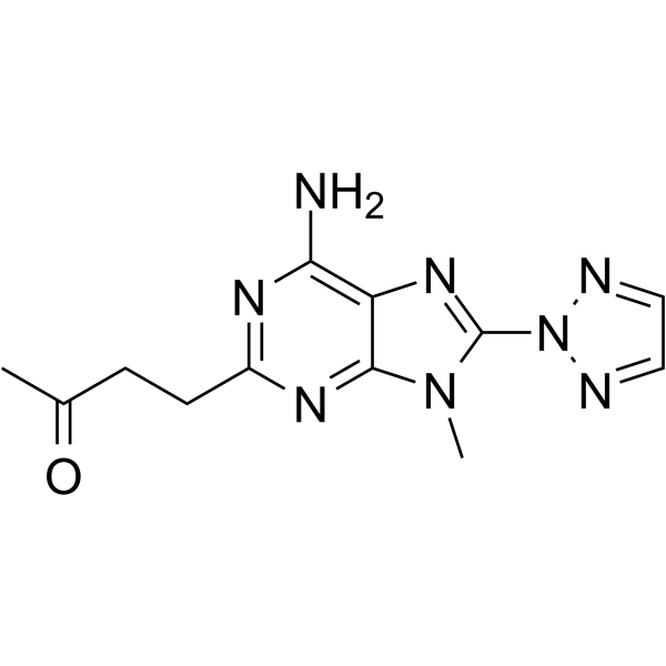 ST4206  Structure