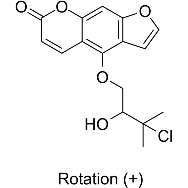 Saxalin Structure